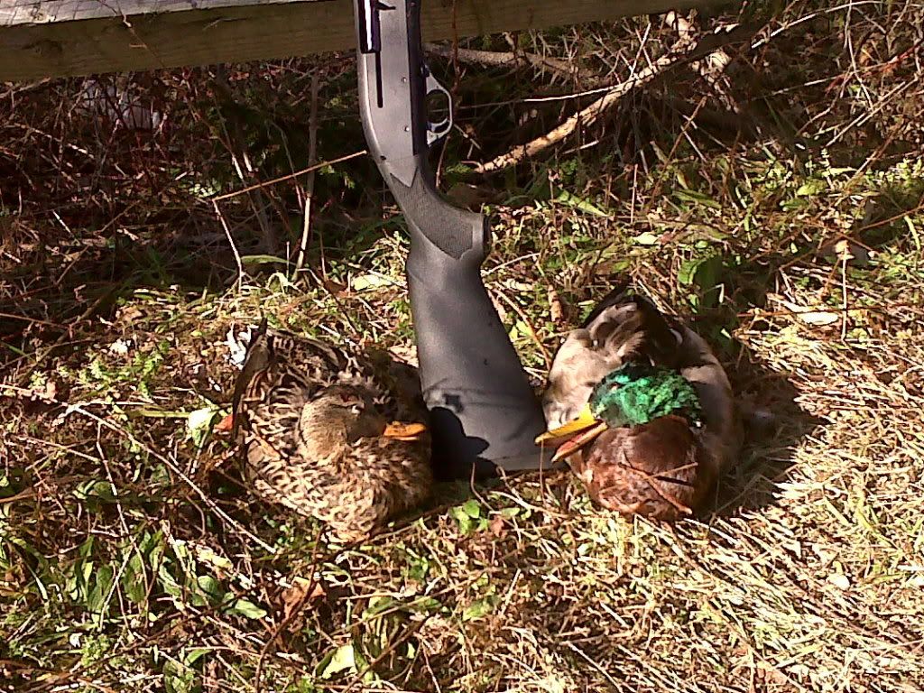 New NY Waterfowler etiquette check Duck Hunting Forum