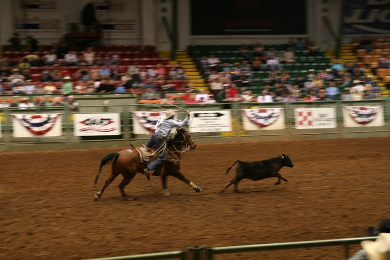 Rodeo in Fortworth