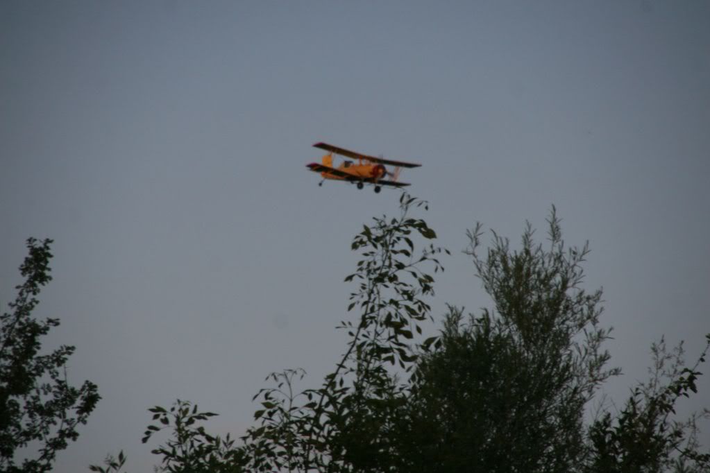 IMG_0964.jpg