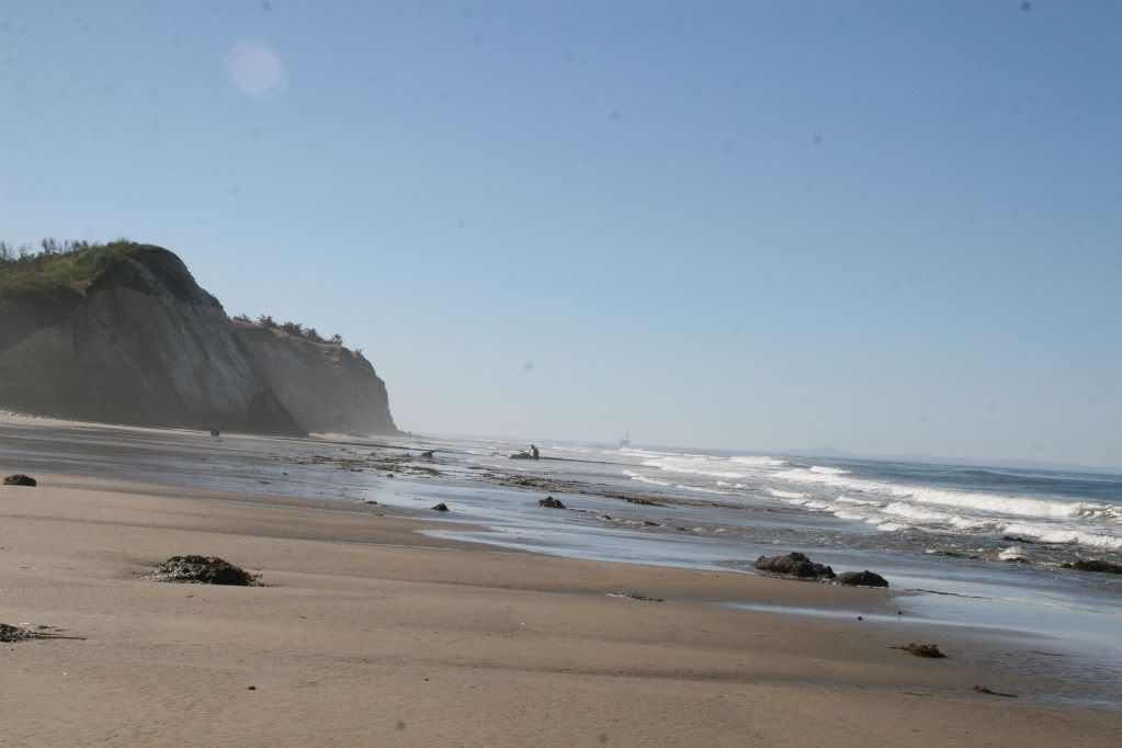 IMG_5886.jpg