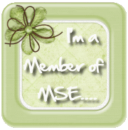 MSE Blog link