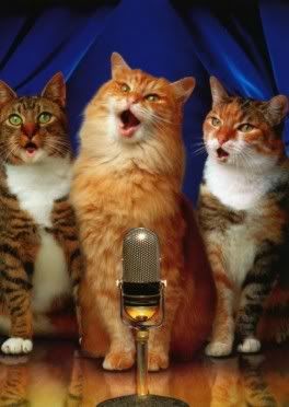 Cats Singing Pictures, Images and Photos