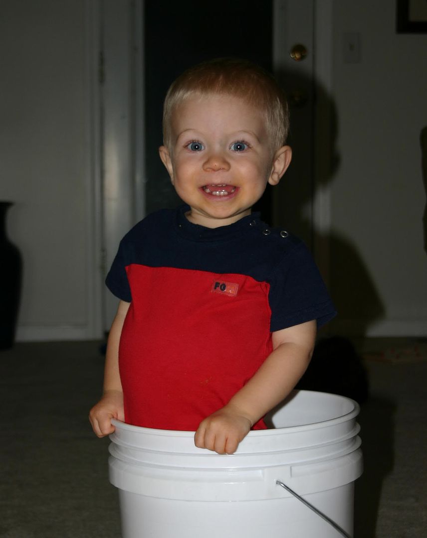 Silly boy standing in the bucket Pictures, Images and Photos