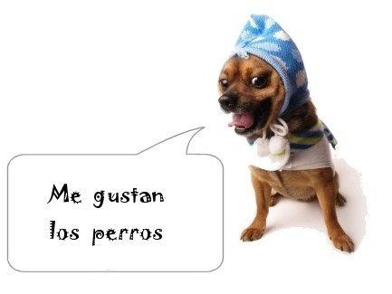 imagenes para hi5
