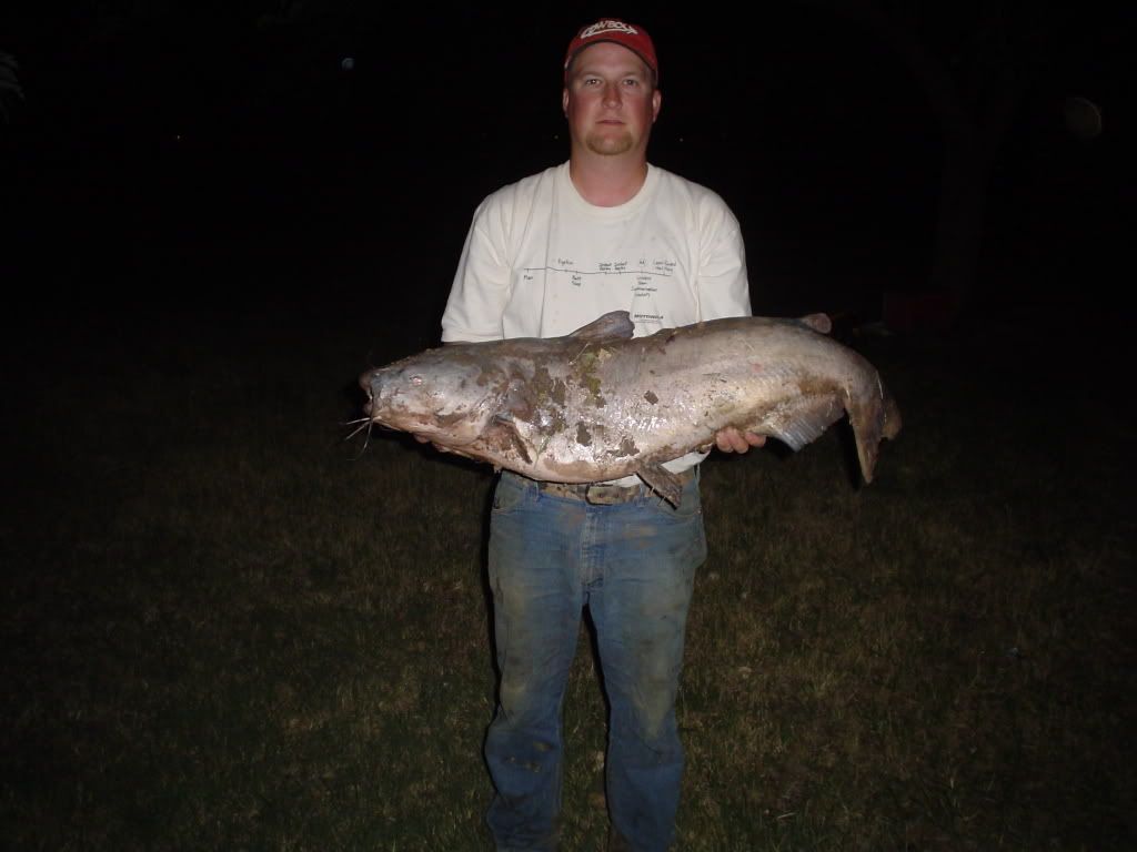 DSC02767.jpg