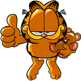 Garfield Pooky