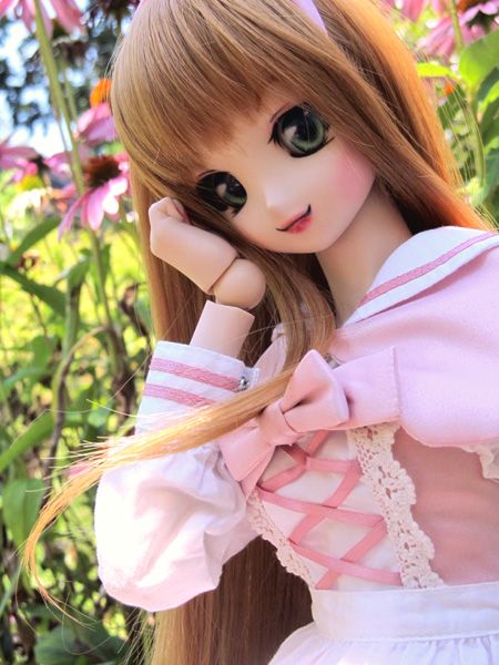 IMG_1213_zps196108ee.jpg