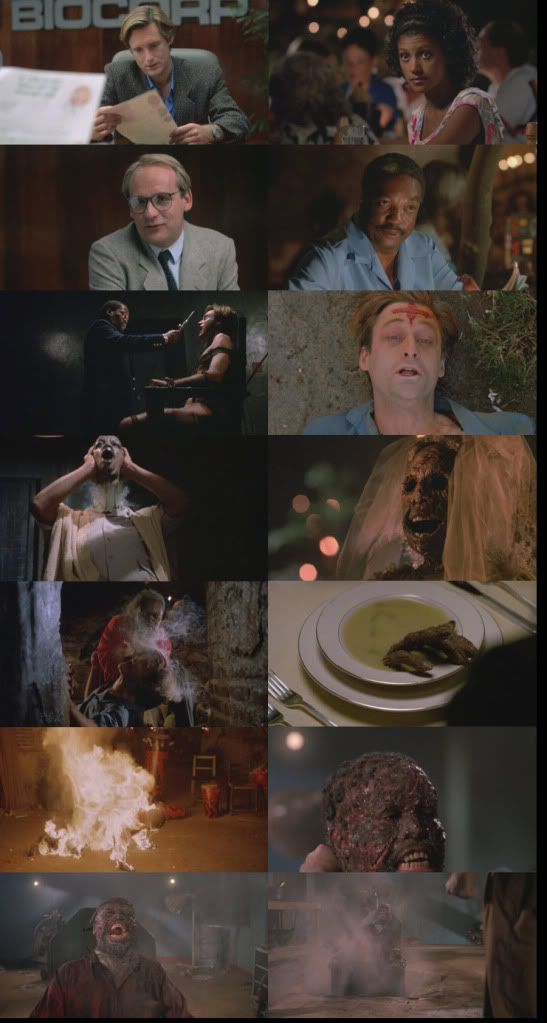 The Serpent And The Rainbow [1988] XviD - DVDRip - BDK