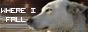 Where I Fall 