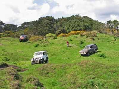 One of the more open areas in the forest.