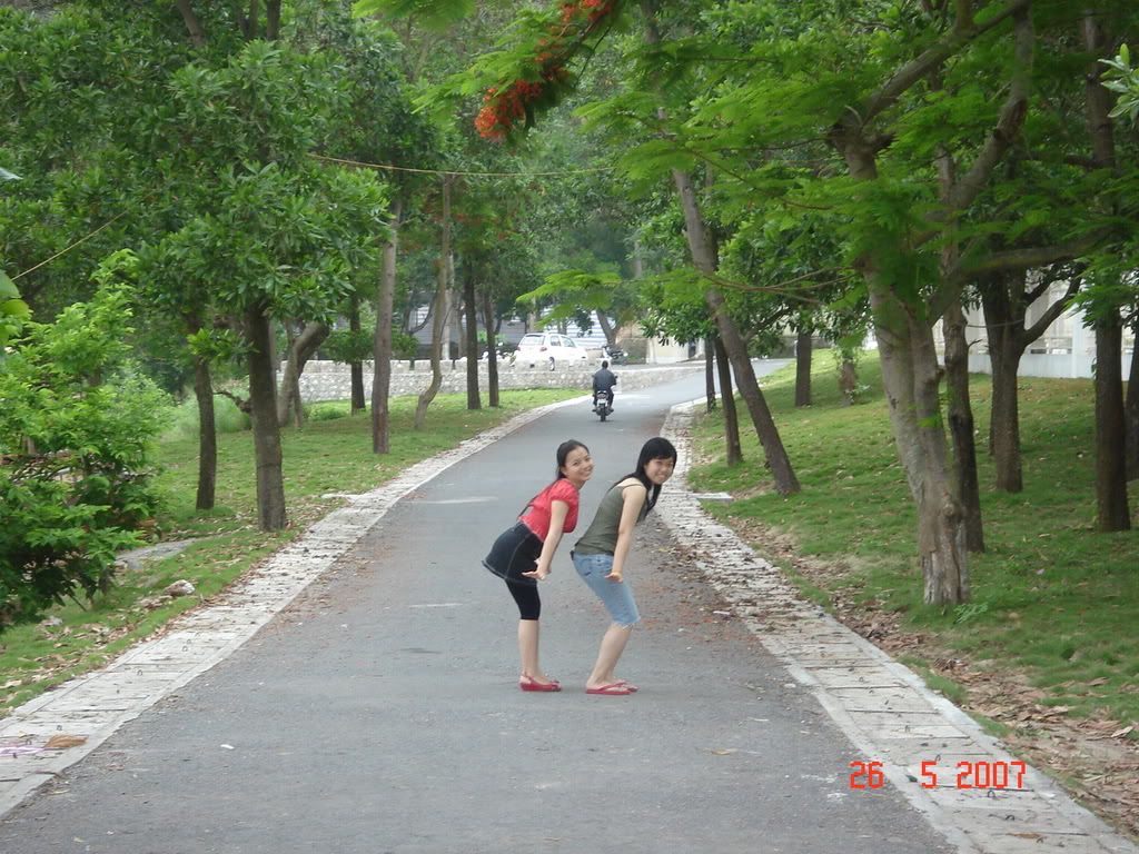 DSC06483.jpg