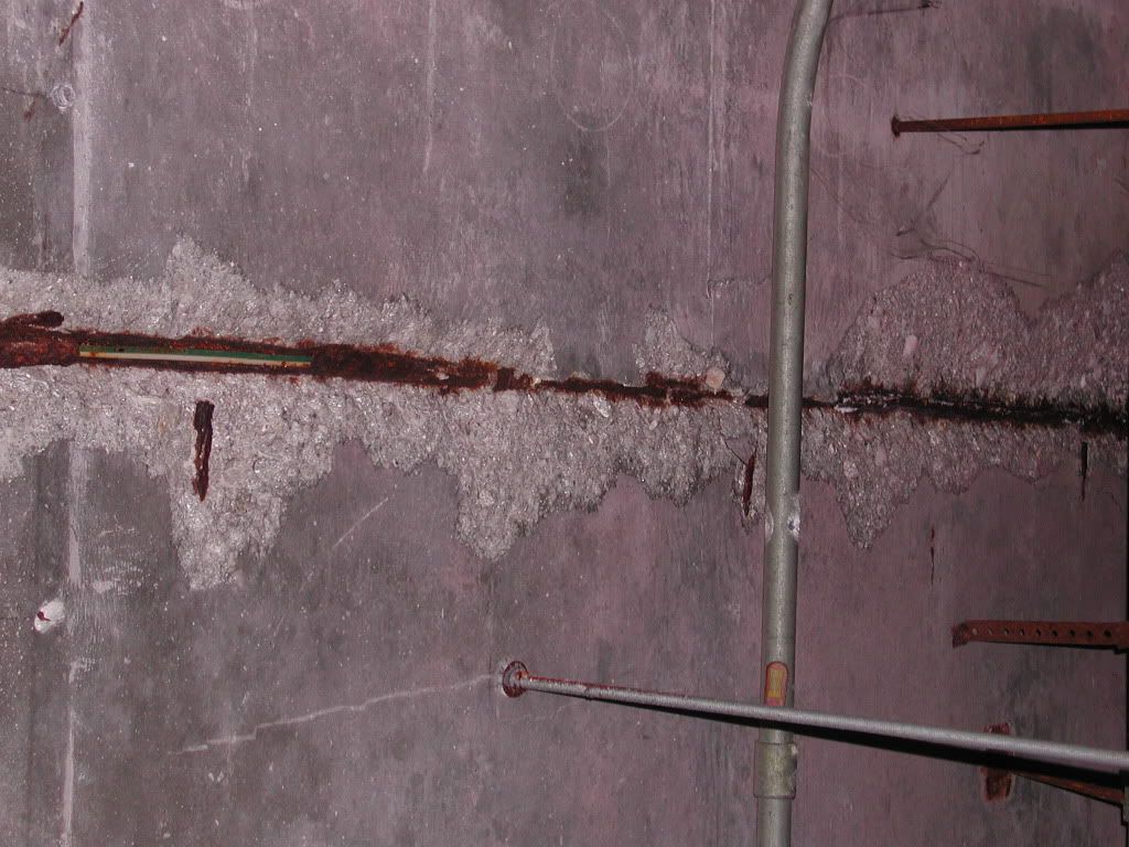 DSCN1287.jpg