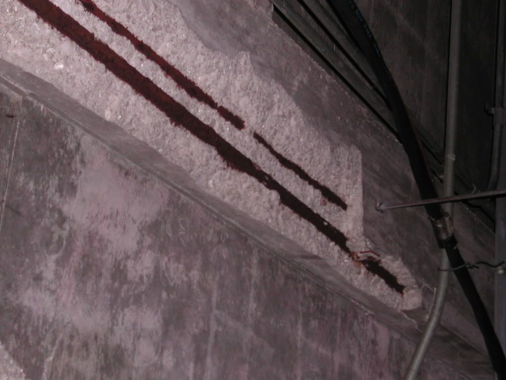 DSCN1288.jpg