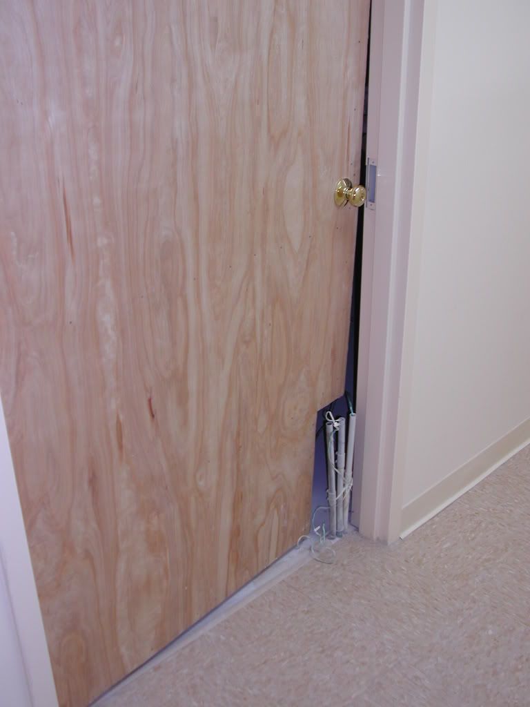 DSCN1985.jpg
