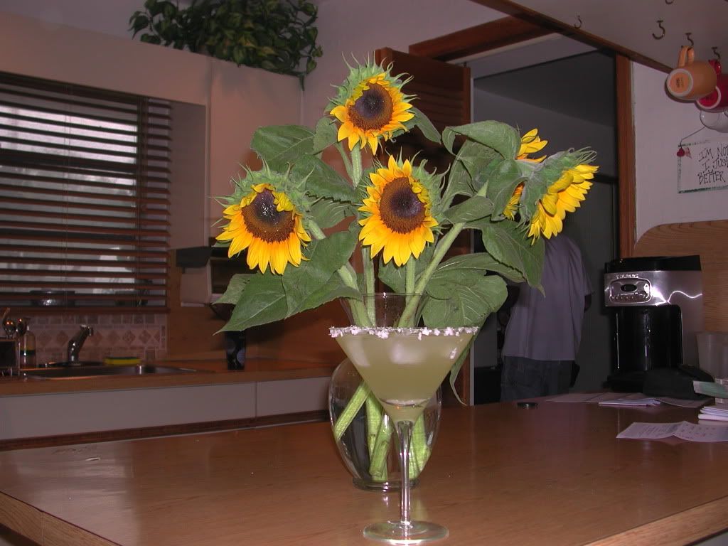 DSCN2057.jpg