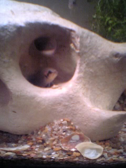 picture00011.jpg