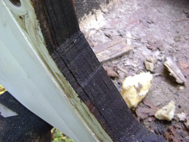 DSC00850.jpg