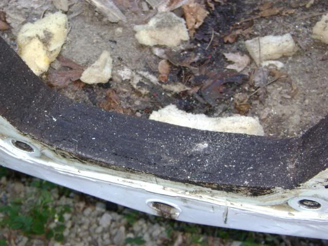 DSC00851.jpg
