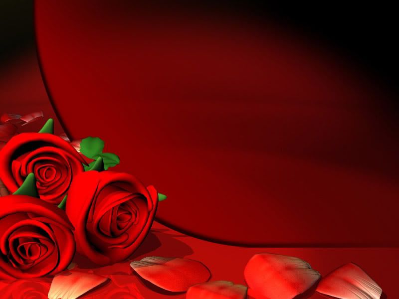 Red Roses Pictures, Images and Photos