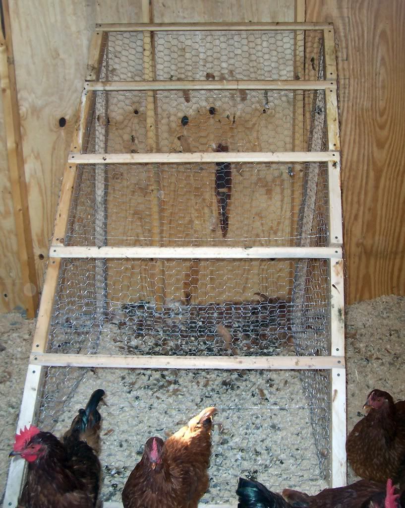 Chicken Roost photo roost.jpg