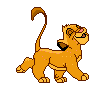 6z8c9wi.gif