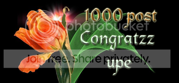 Untitled-1-2.png