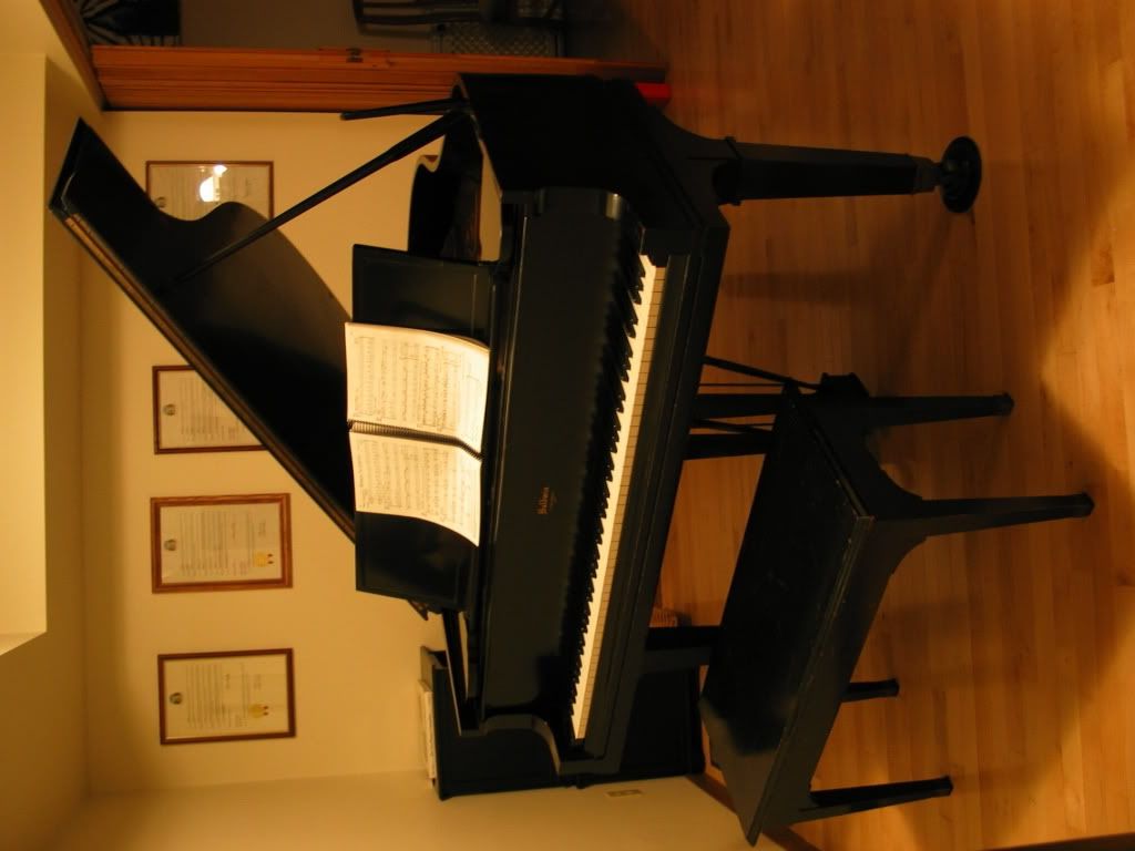 IMG_6671.jpg