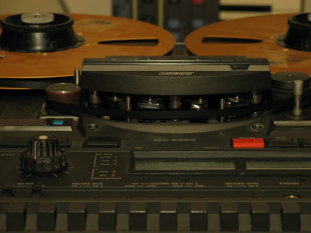 5956426a.jpg