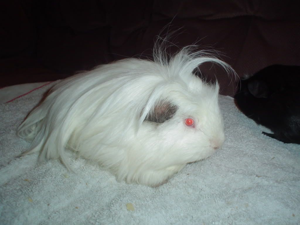 DSC01250.jpg