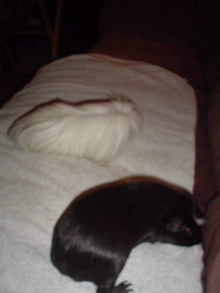 DSC01259.jpg