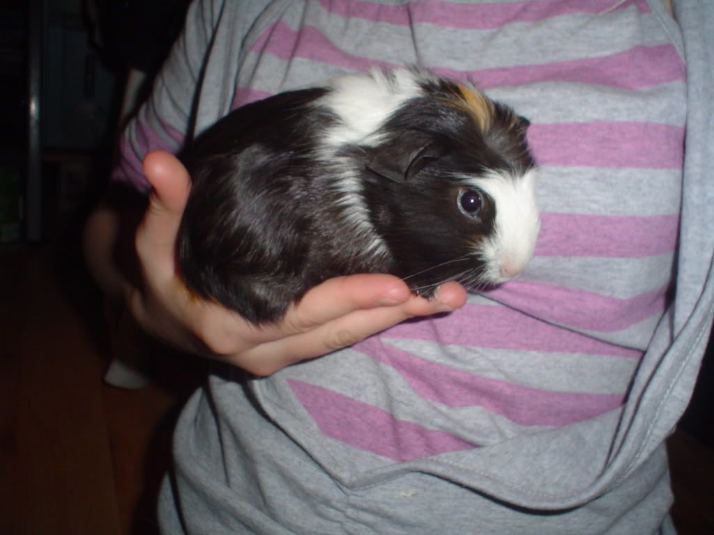 DSC01308.jpg