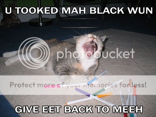 Lol Kittehs! these are funneh! Mahblackwungiveitback