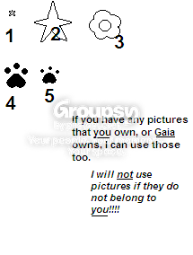User Image