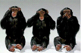 3monkeysold.gif