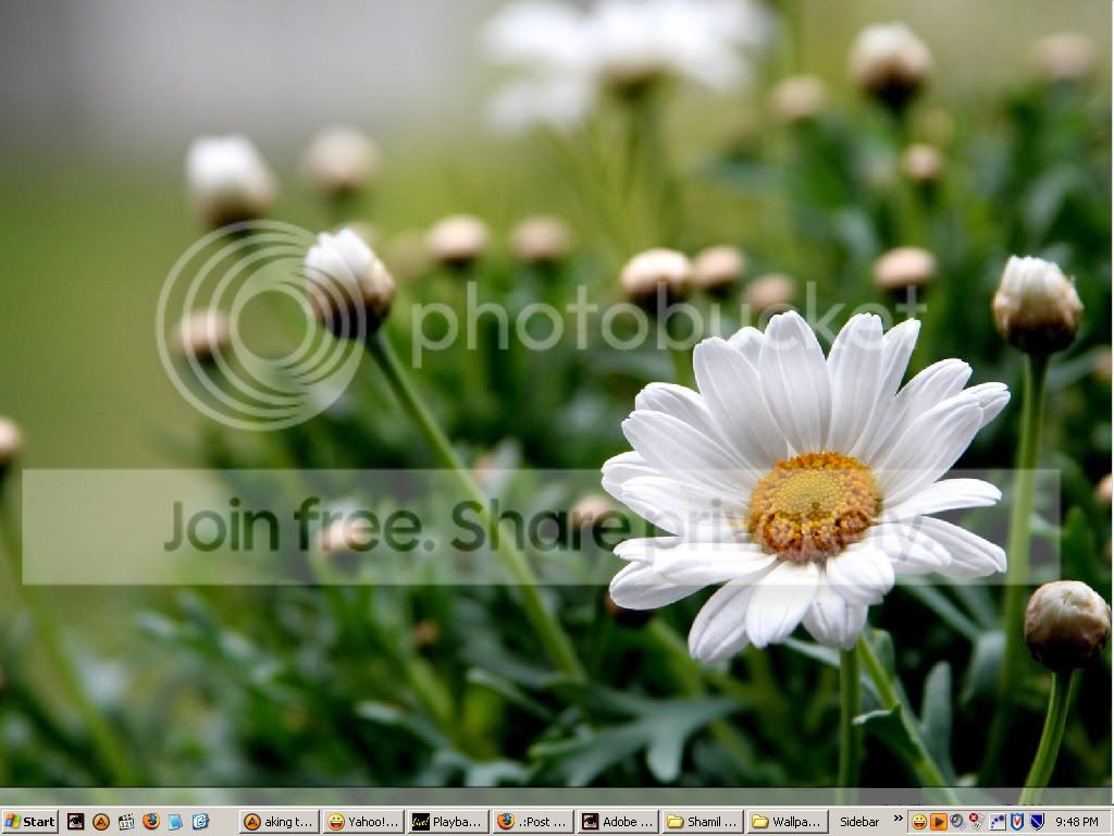 desktop-jan-08copy.jpg