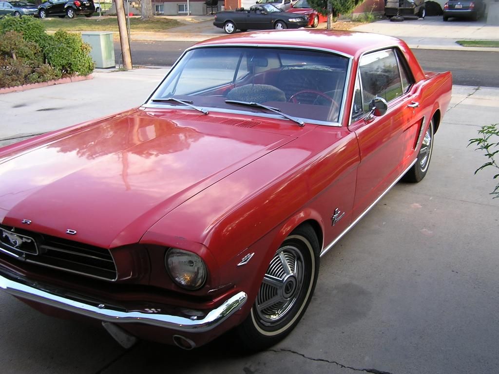 Stang_181713_zpsc266a0b6.jpg