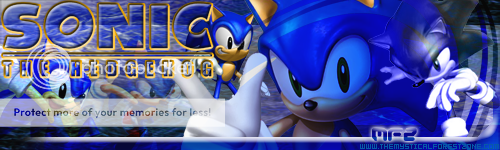 The ULTIMATE Sonic The Hedgehog Guild banner