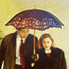 Icon 036