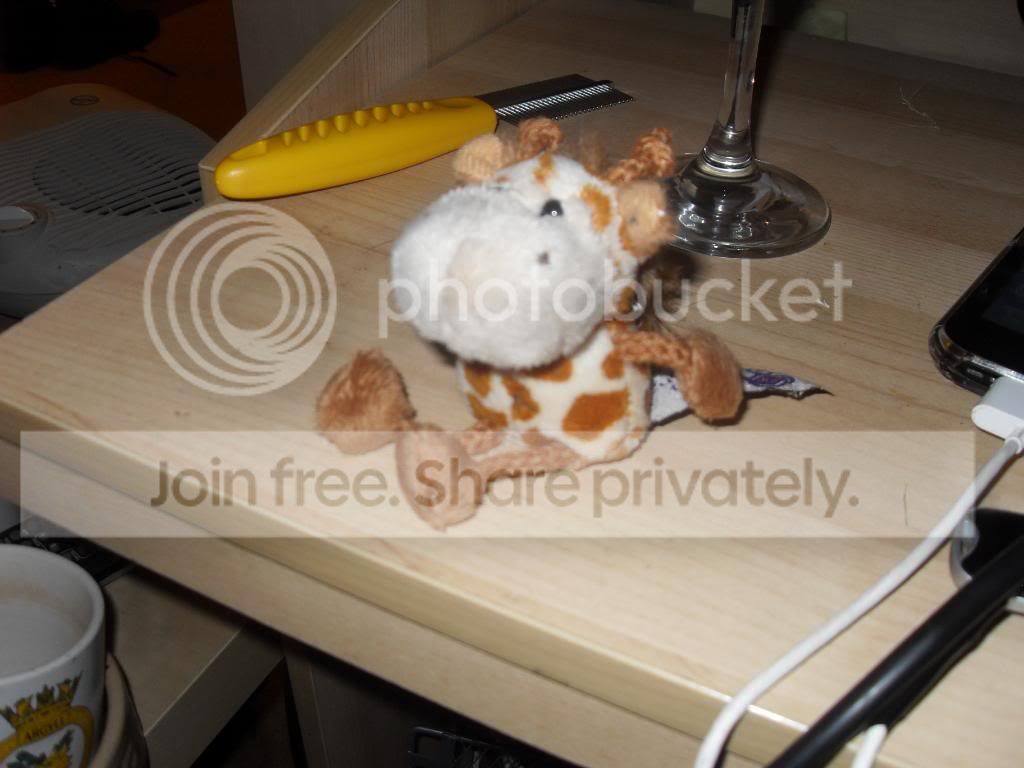 SDC10715.jpg