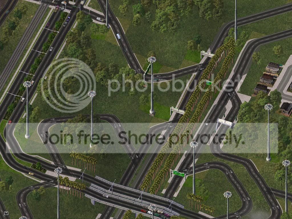Palm2.jpg