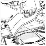 photo 1001carped.jpg
