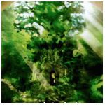 photo leeforest.jpg