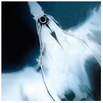 photo leepalebird2.jpg